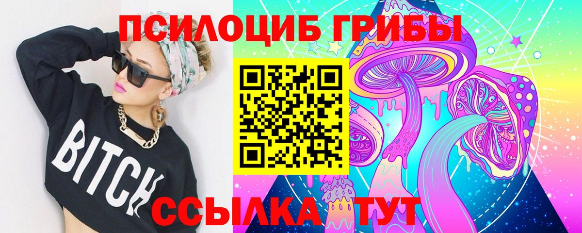 Галлюциногенные грибы Psilocybine cubensis Артём