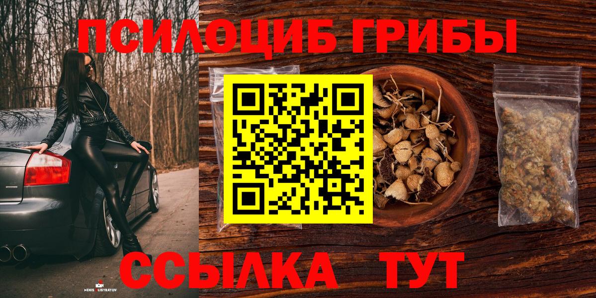 Псилоцибиновые грибы Psilocybine cubensis  Вход с VPN  Артём 